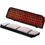 Order WIX - WP10451 - Cabin Air Filter For Your Vehicle