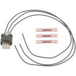 Order BLUE STREAK (HYGRADE MOTOR) - S2916 - Crankshaft Position Sensor Connecteur For Your Vehicle