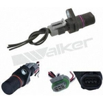 Order Cam Position Sensor by WALKER PRODUCTS - 235-91204 For Your Vehicle