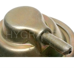 Order Carburetor Choke Pull-Off by BLUE STREAK (HYGRADE MOTOR) - CPA166 For Your Vehicle