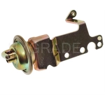 Order Carburetor Choke Pull-Off by BLUE STREAK (HYGRADE MOTOR) - CPA310 For Your Vehicle