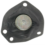 Order Carburetor Choke Pull-Off by BLUE STREAK (HYGRADE MOTOR) - CPA330 For Your Vehicle