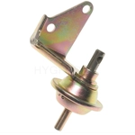 Order Carburetor Choke Pull-Off by BLUE STREAK (HYGRADE MOTOR) - CPA438 For Your Vehicle