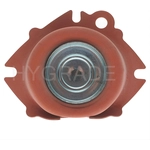 Order Carburetor Diaphragm by BLUE STREAK (HYGRADE MOTOR) - FM160-70 For Your Vehicle