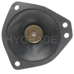 Order Carburetor Diaphragm by BLUE STREAK (HYGRADE MOTOR) - J160-111 For Your Vehicle