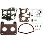 Order Carburetor Kit by BLUE STREAK (HYGRADE MOTOR) - 1249 For Your Vehicle