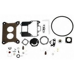 Order Carburetor Kit by BLUE STREAK (HYGRADE MOTOR) - 1439A For Your Vehicle