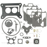 Order Carburetor Kit by BLUE STREAK (HYGRADE MOTOR) - 1551 For Your Vehicle