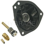 Order Carburetor Kit by BLUE STREAK (HYGRADE MOTOR) - 1613 For Your Vehicle