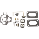 Order Carburetor Kit by BLUE STREAK (HYGRADE MOTOR) - 1681 For Your Vehicle