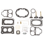 Order Carburetor Kit by BLUE STREAK (HYGRADE MOTOR) - 541D For Your Vehicle
