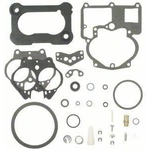 Order Ensemble de carburateur de BLUE STREAK (HYGRADE MOTOR) - 696A For Your Vehicle