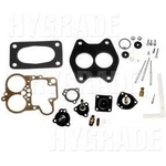 Order Carburetor Kit by BLUE STREAK (HYGRADE MOTOR) - 983 For Your Vehicle