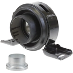 Order SCHAEFFLER - CH0173 - Drive Shaft Center Support Bearing For Your Vehicle