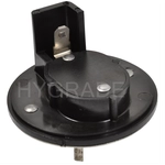 Order Choke Thermostat (Carbureted) by BLUE STREAK (HYGRADE MOTOR) - CV301 For Your Vehicle