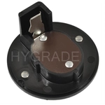 Order Choke Thermostat (Carbureted) by BLUE STREAK (HYGRADE MOTOR) - CV313 For Your Vehicle