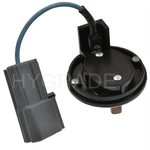 Order Choke Thermostat (Carbureted) by BLUE STREAK (HYGRADE MOTOR) - CV405 For Your Vehicle