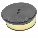 Order Choke Thermostat (Carbureted) by BLUE STREAK (HYGRADE MOTOR) - CV415 For Your Vehicle