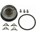 Order Choke Thermostat (Carbureted) by BLUE STREAK (HYGRADE MOTOR) - CV156 For Your Vehicle