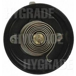 Order Choke Thermostat (Carbureted) by BLUE STREAK (HYGRADE MOTOR) - CV160 For Your Vehicle