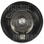 Order Choke Thermostat (Carbureted) by BLUE STREAK (HYGRADE MOTOR) - CV188 For Your Vehicle