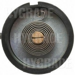 Order Choke Thermostat (Carbureted) by BLUE STREAK (HYGRADE MOTOR) - CV197 For Your Vehicle