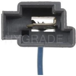 Order Choke Thermostat (Carbureted) by BLUE STREAK (HYGRADE MOTOR) - CV211 For Your Vehicle