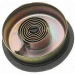 Order Choke Thermostat (Carbureted) by BLUE STREAK (HYGRADE MOTOR) - CV212 For Your Vehicle