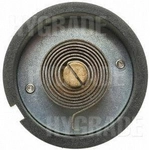 Order Choke Thermostat (Carbureted) by BLUE STREAK (HYGRADE MOTOR) - CV216 For Your Vehicle