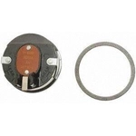 Order Choke Thermostat (Carbureted) by BLUE STREAK (HYGRADE MOTOR) - CV232 For Your Vehicle