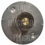 Order Choke Thermostat (Carbureted) by BLUE STREAK (HYGRADE MOTOR) - CV305 For Your Vehicle