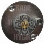 Order Choke Thermostat (Carbureted) by BLUE STREAK (HYGRADE MOTOR) - CV333 For Your Vehicle