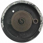 Order Choke Thermostat (Carbureted) by BLUE STREAK (HYGRADE MOTOR) - CV384 For Your Vehicle
