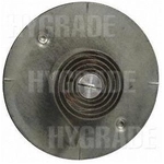 Order Choke Thermostat (Carbureted) by BLUE STREAK (HYGRADE MOTOR) - CV403 For Your Vehicle