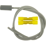 Order Cigarette Lighter Connector by BLUE STREAK (HYGRADE MOTOR) - S1640 For Your Vehicle