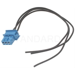 Order Cigarette Lighter Connector by BLUE STREAK (HYGRADE MOTOR) - S734 For Your Vehicle