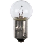 Order Clock Light by WAGNER - BP57 For Your Vehicle