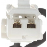 Order Clock Spring by BWD AUTOMOTIVE - CLS424 For Your Vehicle