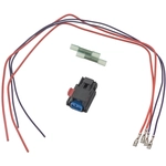 Order STANDARD - PRO SERIES - S2052 - HVAC Blower Motor Connector For Your Vehicle