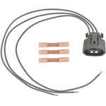 Order BLUE STREAK (HYGRADE MOTOR) - S2533 - Electrical Connector For Your Vehicle