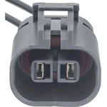 Order Coil Connector by BLUE STREAK (HYGRADE MOTOR) - S2884 For Your Vehicle