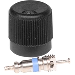 Order ACDELCO PROFESSIONAL - 12570619 - Fuel Injection Fuel Pressure Service Kit For Your Vehicle