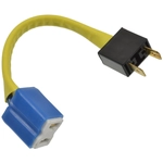 Order BLUE STREAK (HYGRADE MOTOR) - LWH100 - Handypack Headlight Wiring Harness For Your Vehicle