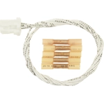 Order Connector by BLUE STREAK (HYGRADE MOTOR) - S1183 For Your Vehicle