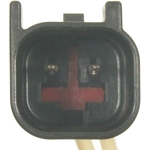 Order BLUE STREAK (HYGRADE MOTOR) - S1342 - Under Hood Lamp Connector For Your Vehicle