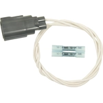 Order Connector by BLUE STREAK (HYGRADE MOTOR) - S1488 For Your Vehicle