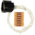 Order BLUE STREAK (HYGRADE MOTOR) - S1568 - Connector For Your Vehicle