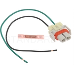 Order Connector by BLUE STREAK (HYGRADE MOTOR) - S1664 For Your Vehicle