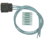 Order BLUE STREAK (HYGRADE MOTOR) - S1691 - Liftgate Glass Actuator Connector For Your Vehicle