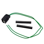 Order BLUE STREAK (HYGRADE MOTOR) - S2421 - Electrical Connector For Your Vehicle